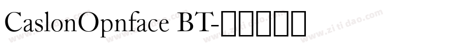 CaslonOpnface BT字体转换